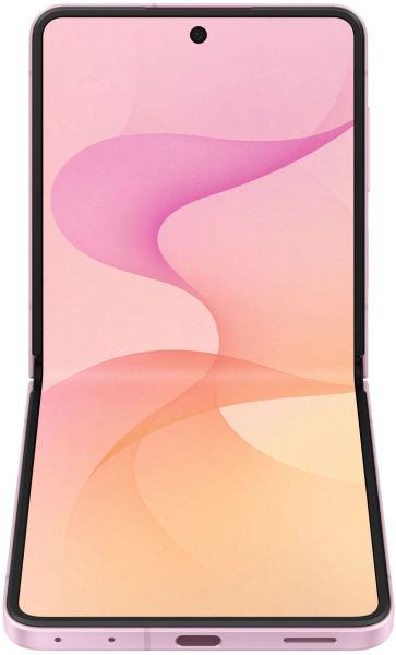 Z Flip8 p 3